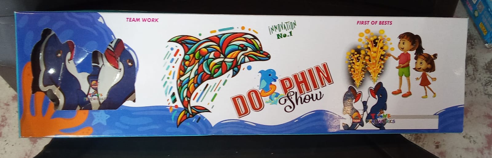 Dolphin show