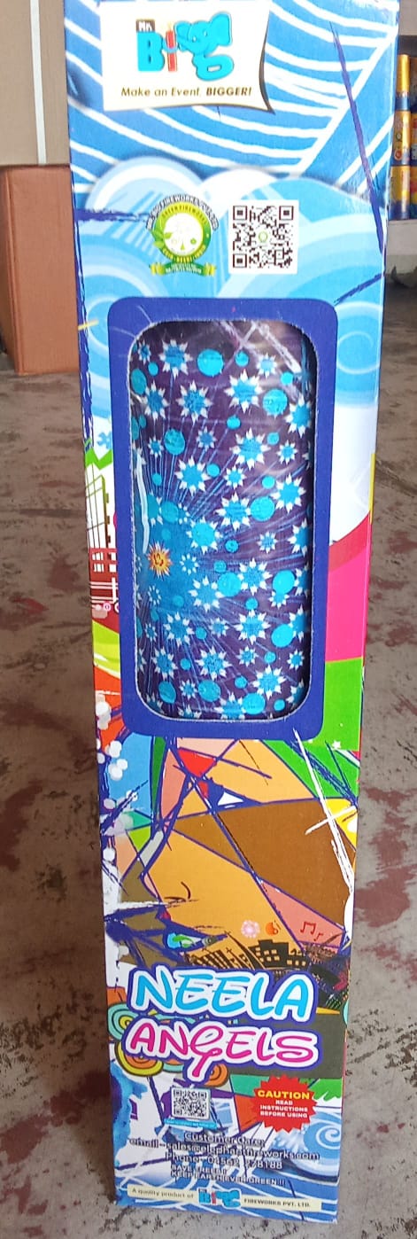 INF 3.5 Neela Angles